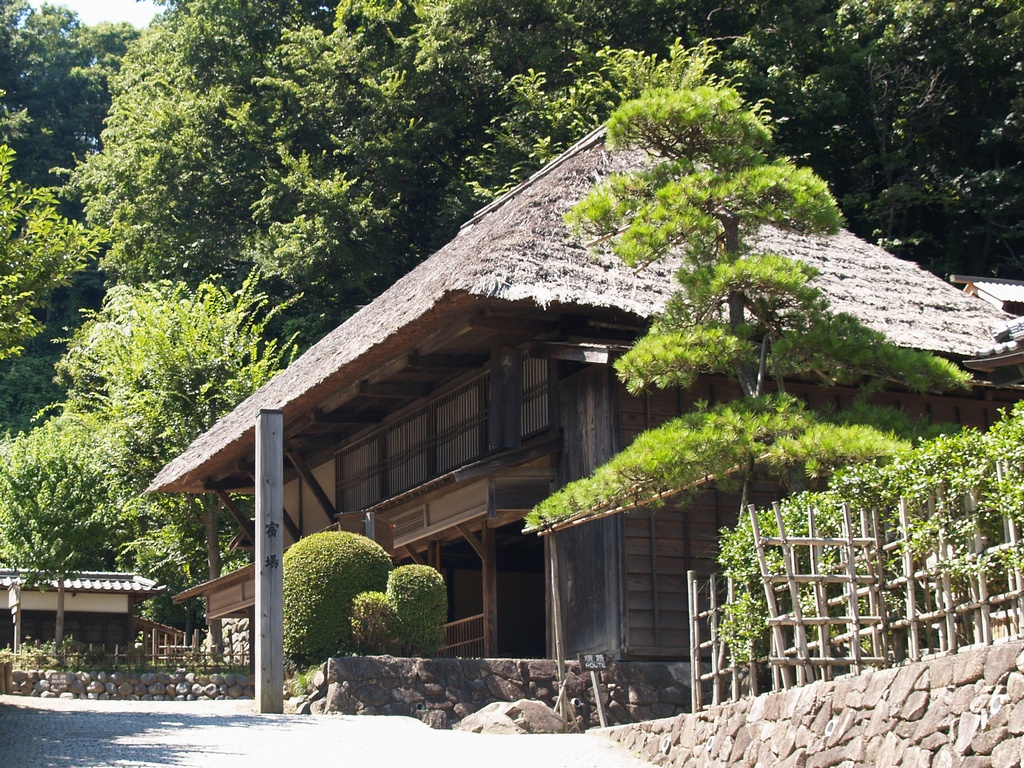 THE SUZUKI HOUSE