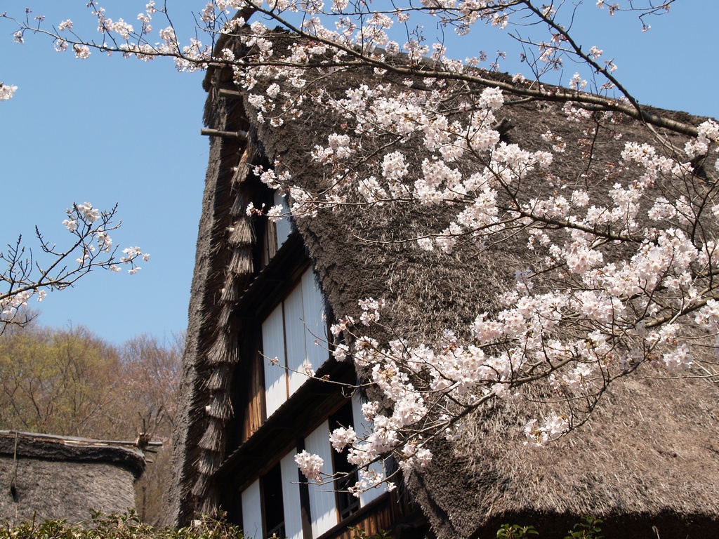 THE YAMASHITA HOUSE