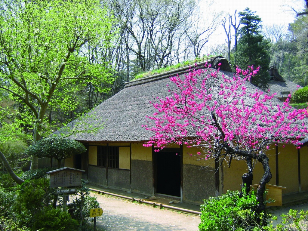 THE KIYOMIYA HOUSE