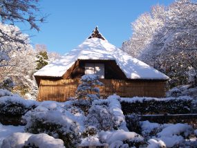snow fence at the Sugawara House