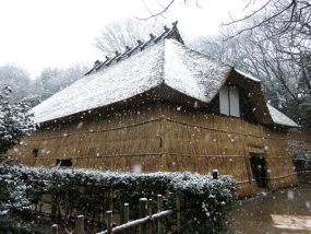 Snow Fence at the Sugawara House