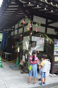 decorating bamboo on tanabata 