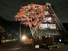 Nighttime illumination last year