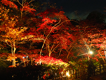 昨年の「夜の民家園」会場風景